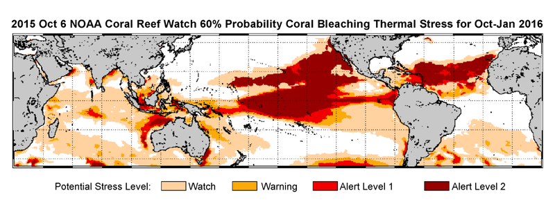 Illustration for article titled This is What a Mass Die-off of Earth's Coral Reefs Looks Like